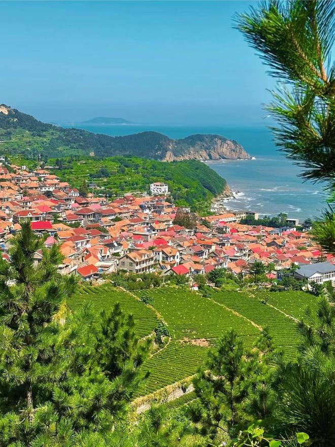 乐鱼电子青岛旅游5天4晚要破费几钱 青岛5天4晚报团攻略及用度 青岛导游